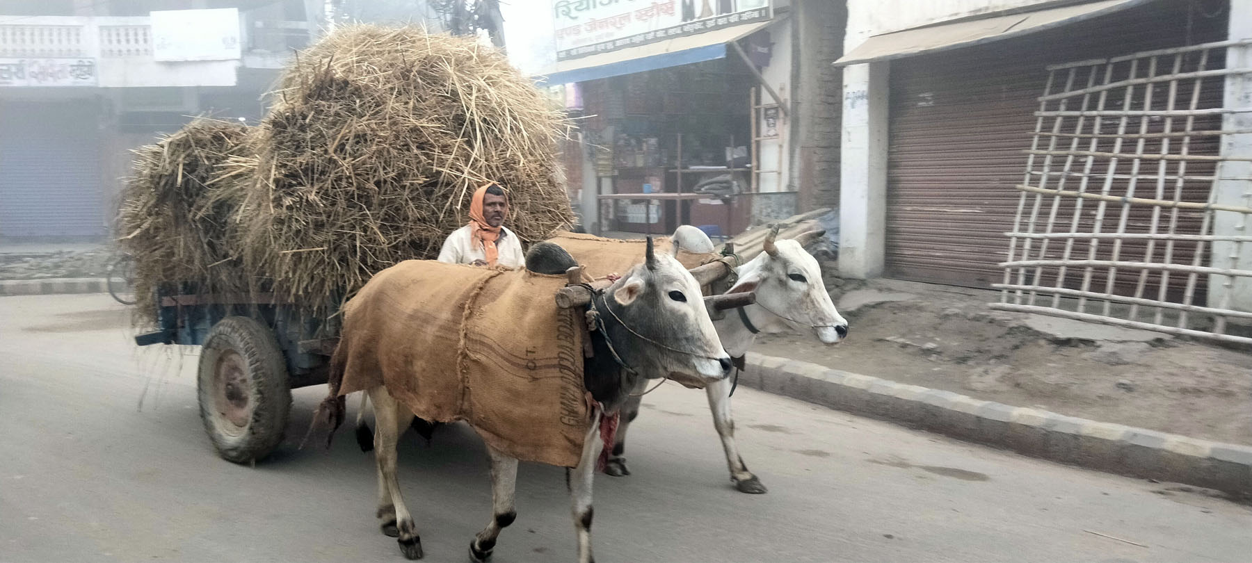 आजका तस्बिर-पुस ४