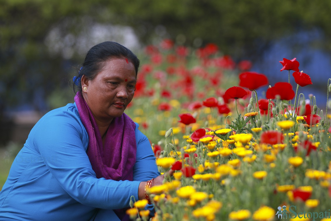 आजका तस्बिरहरू-चैत ८