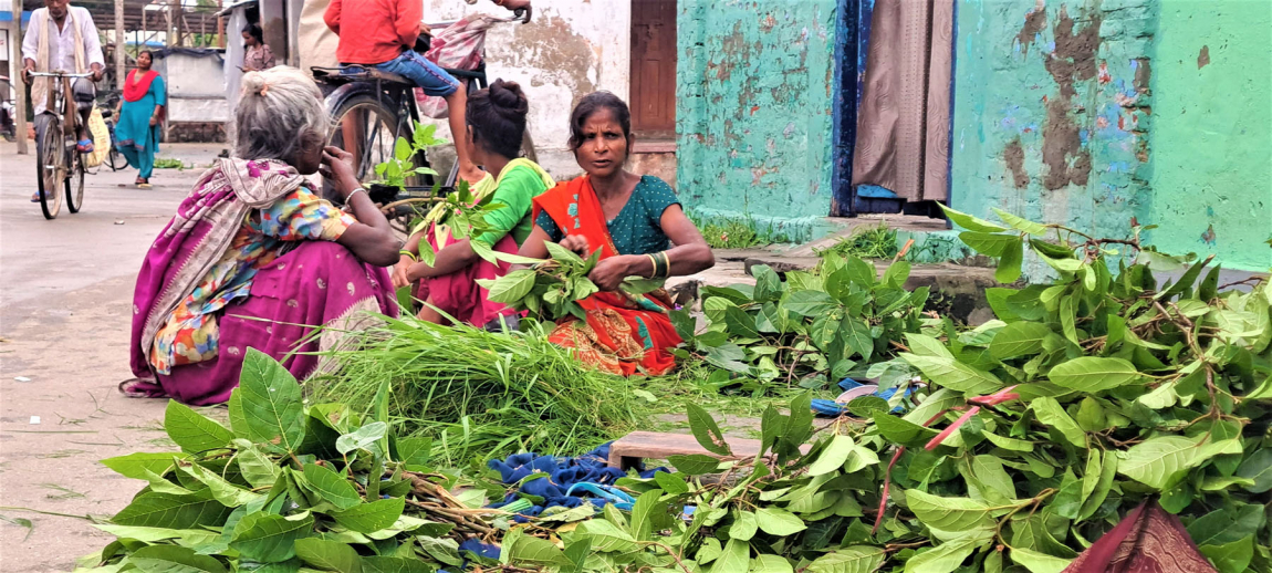 आजका तस्बिर: साउन २८