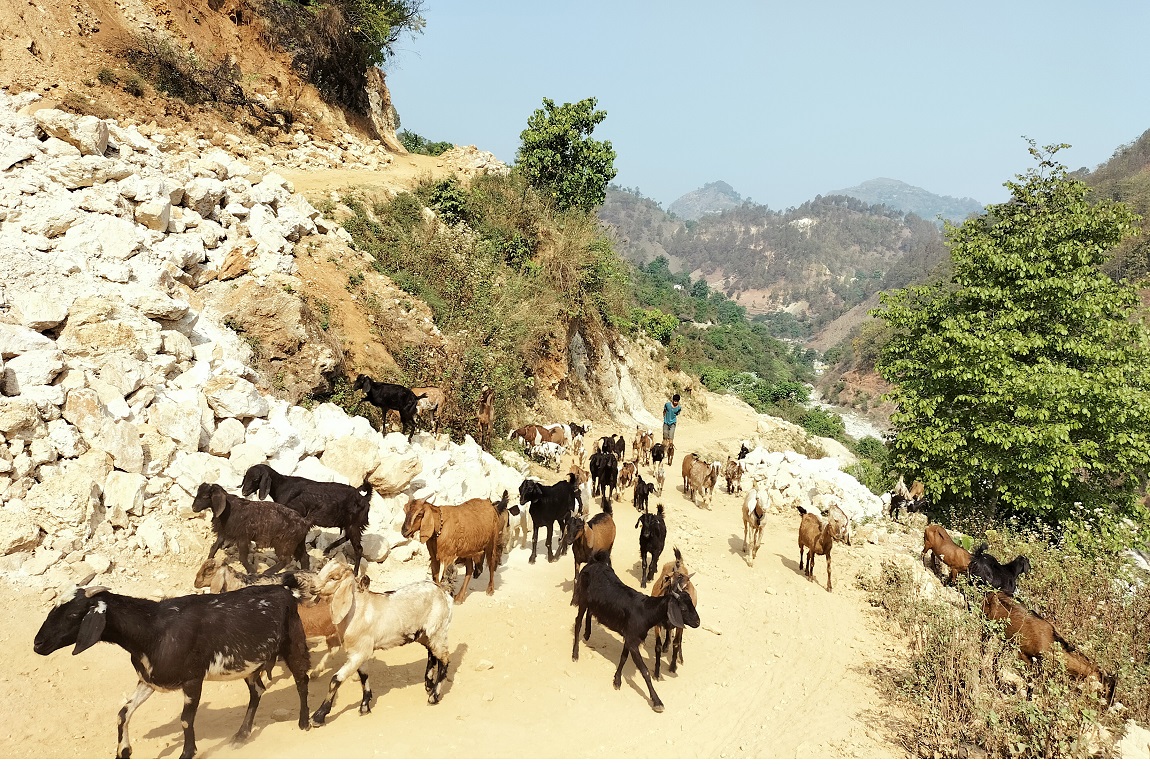 आजका तस्बिरहरू- वैशाख २