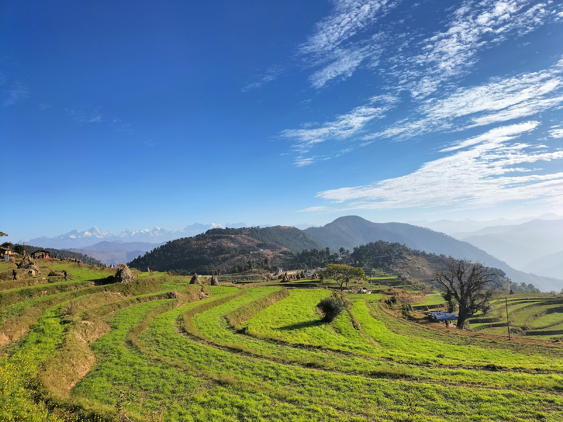 आजका तस्बिरहरू- मंसिर १०