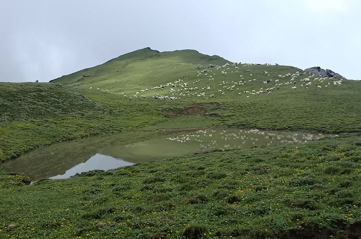 आजका तस्बिर- असार २७