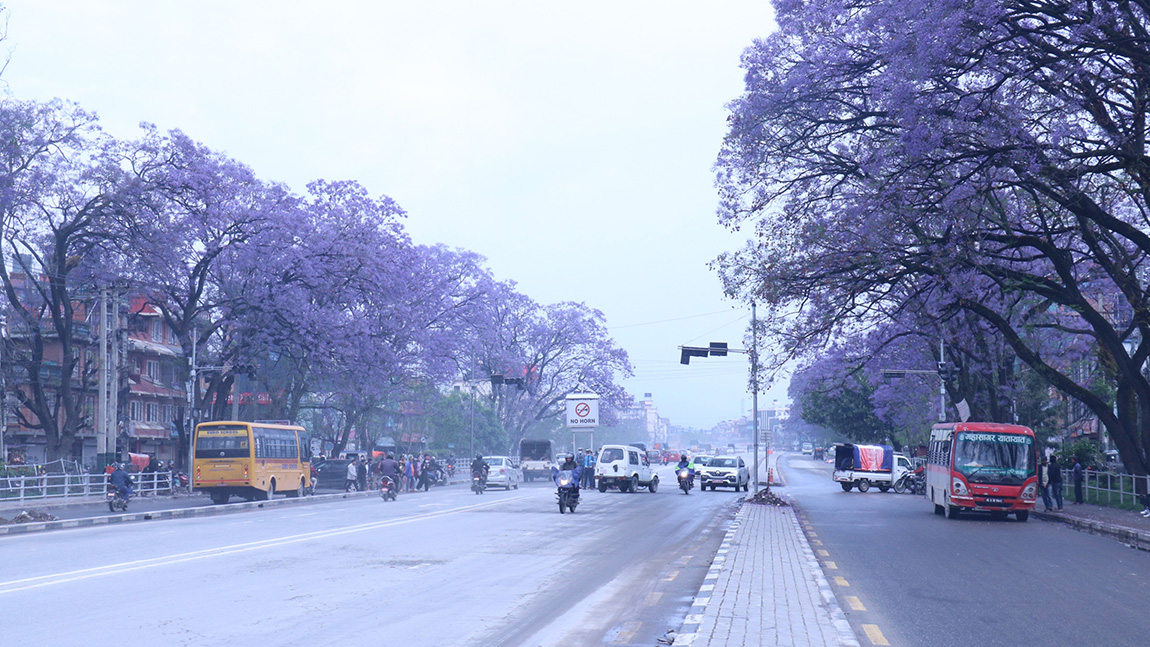 आजका तस्बिर- वैशाख २१