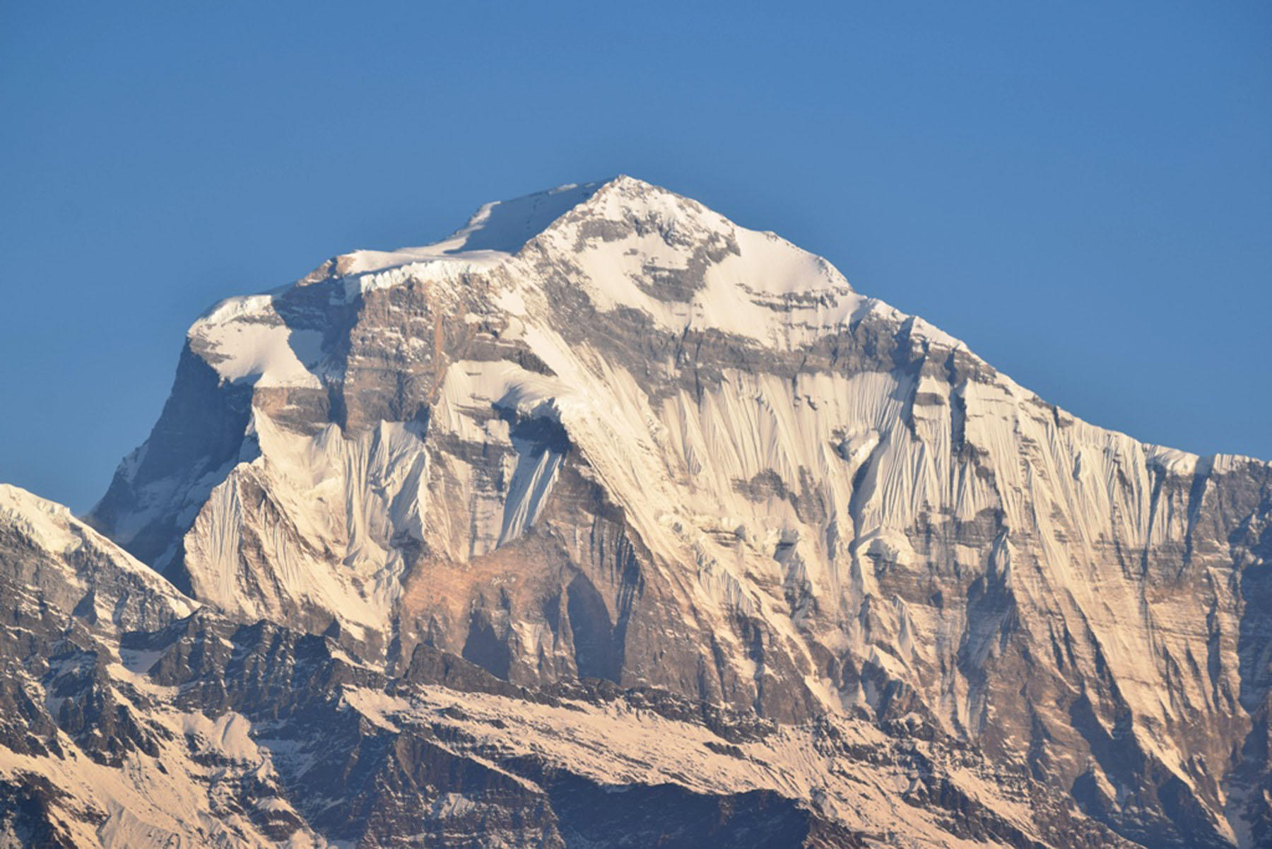 आजका तस्बिर- माघ २९