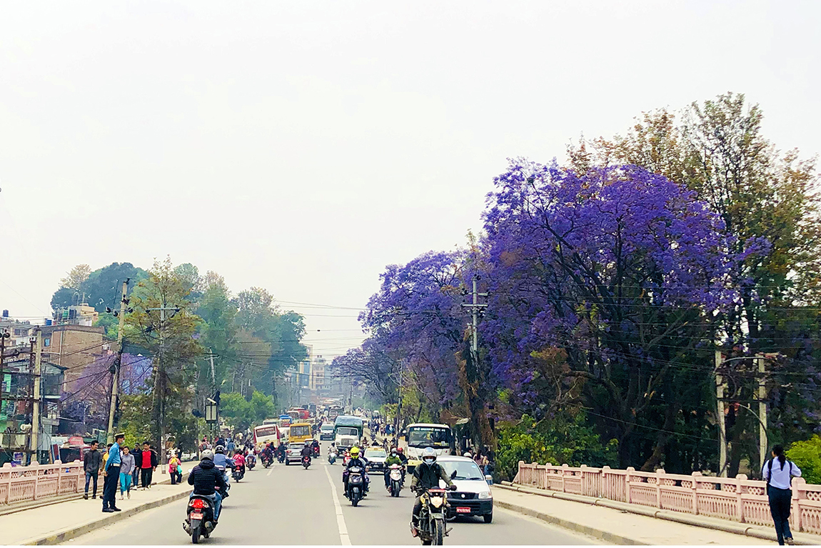 आजका तस्बिर- वैशाख १५