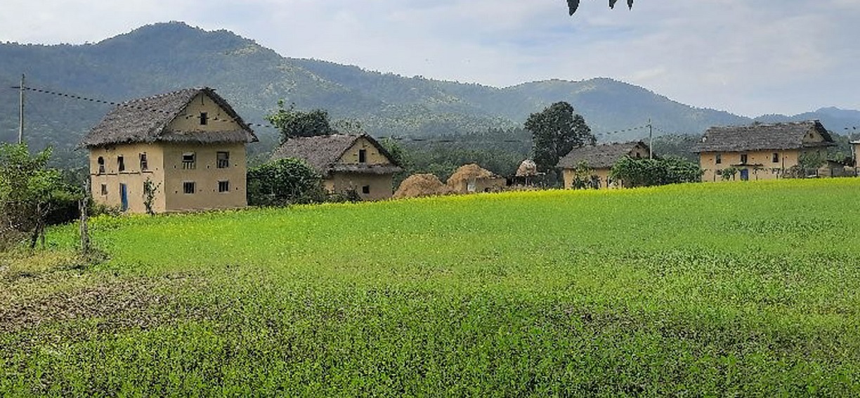 आजका तस्बिरहरू कात्तिक २०