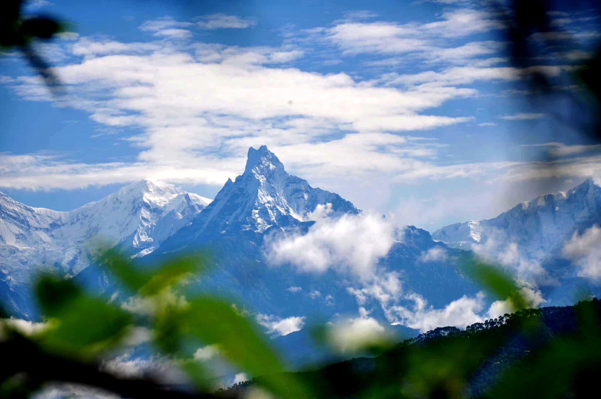 आजका तस्बिरहरू- असार २१