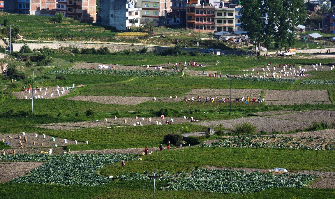 आजका तस्वीर- वैशाख १०