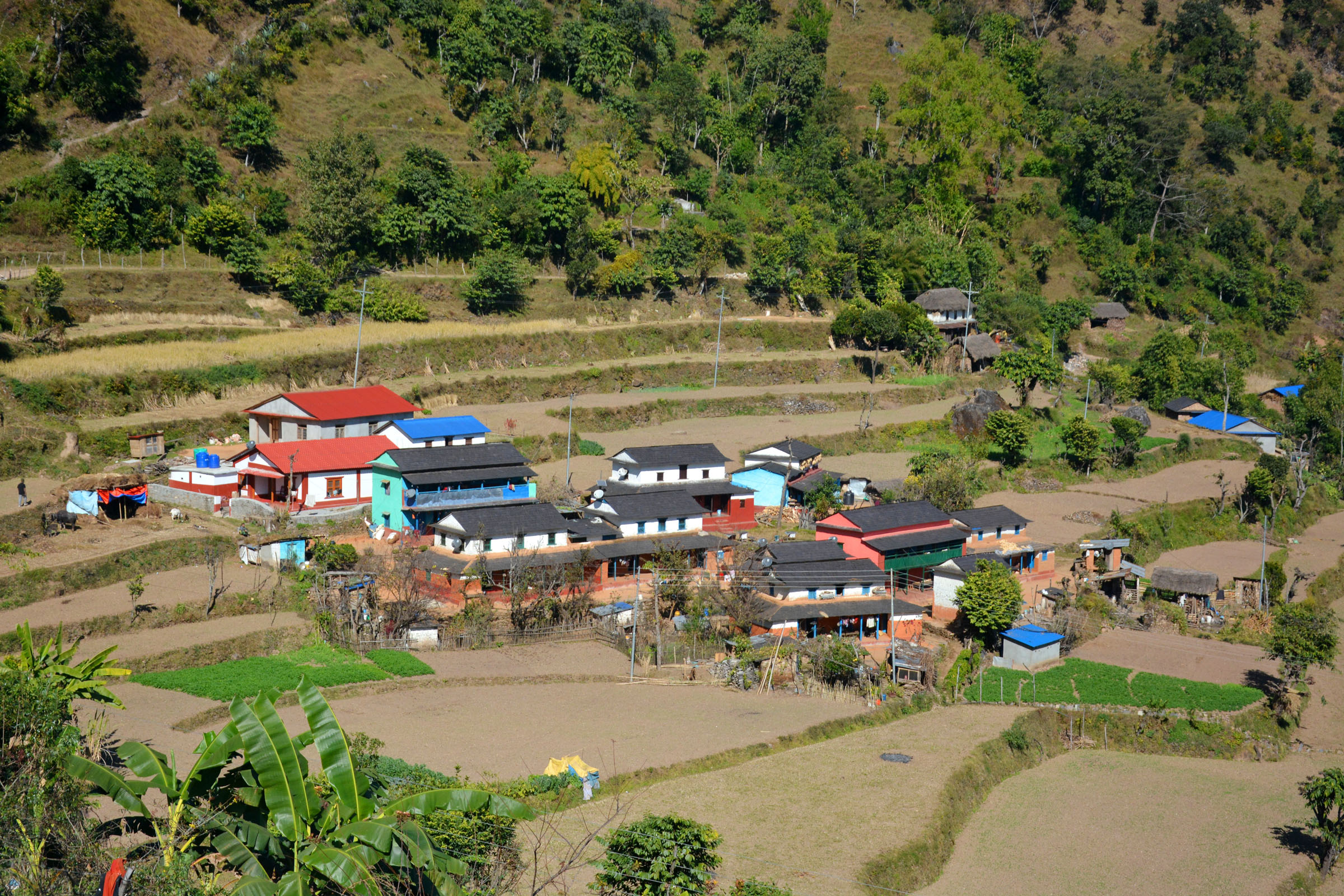 आजका तस्बिर पुस ३