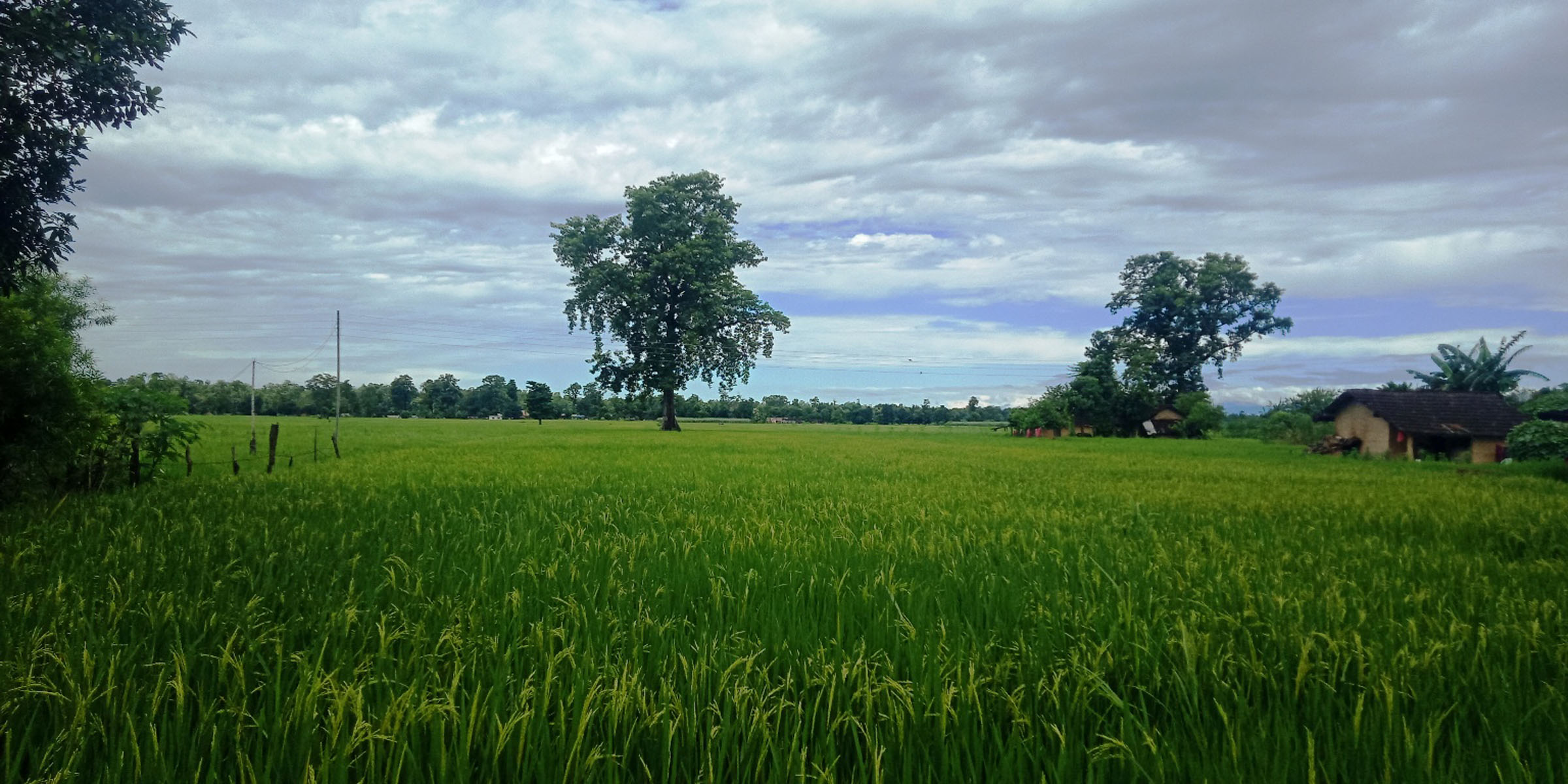 आजका तस्बिरहरू- भदौ १७