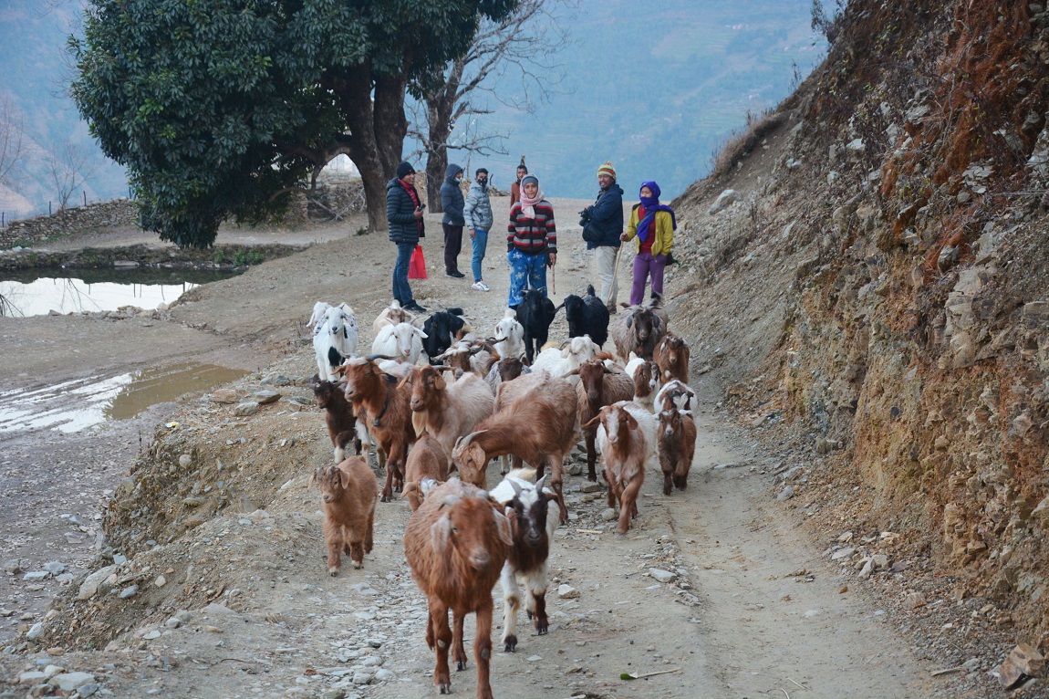 आजका तस्बिरहरू- फागुन ६