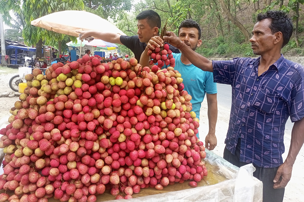 आजका तस्बिर- जेठ २९