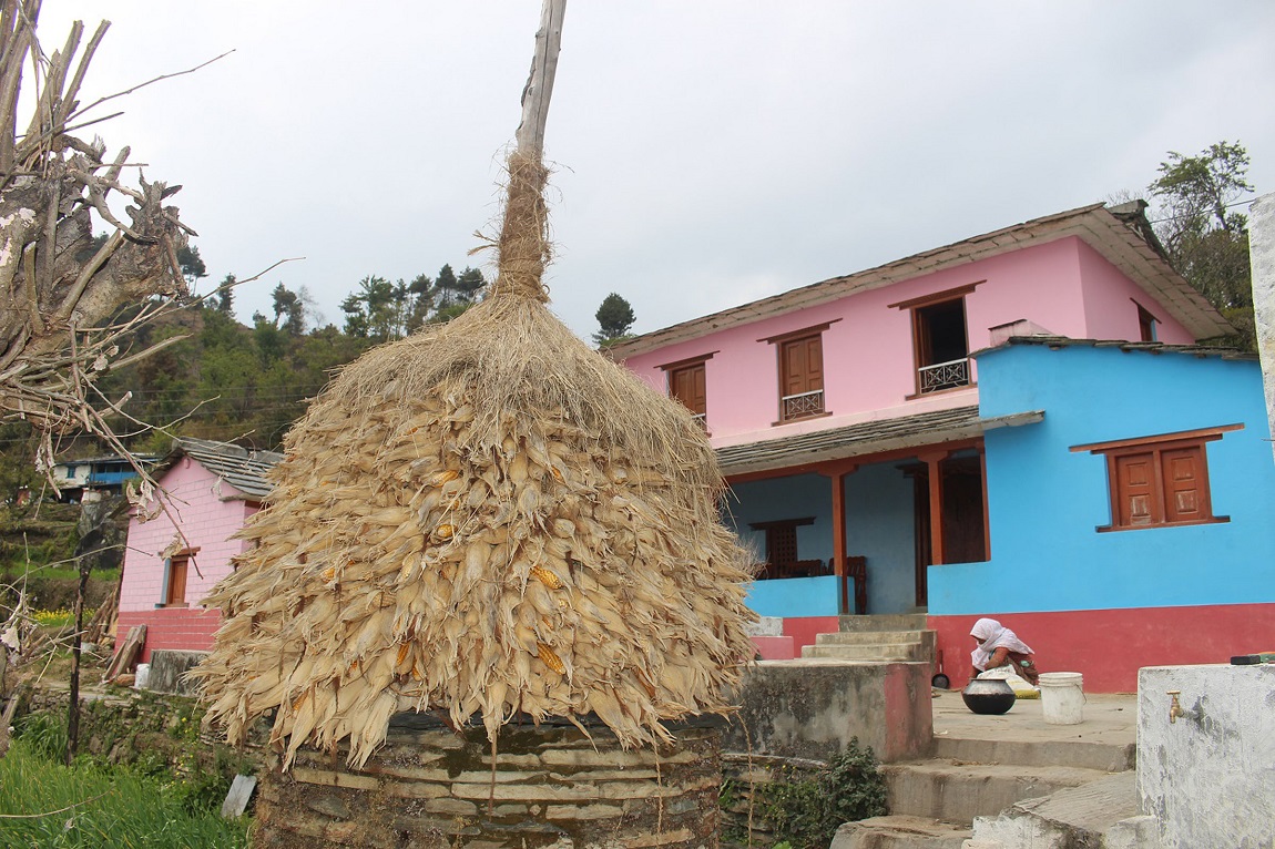 आजका तस्बिर- फागुन ९