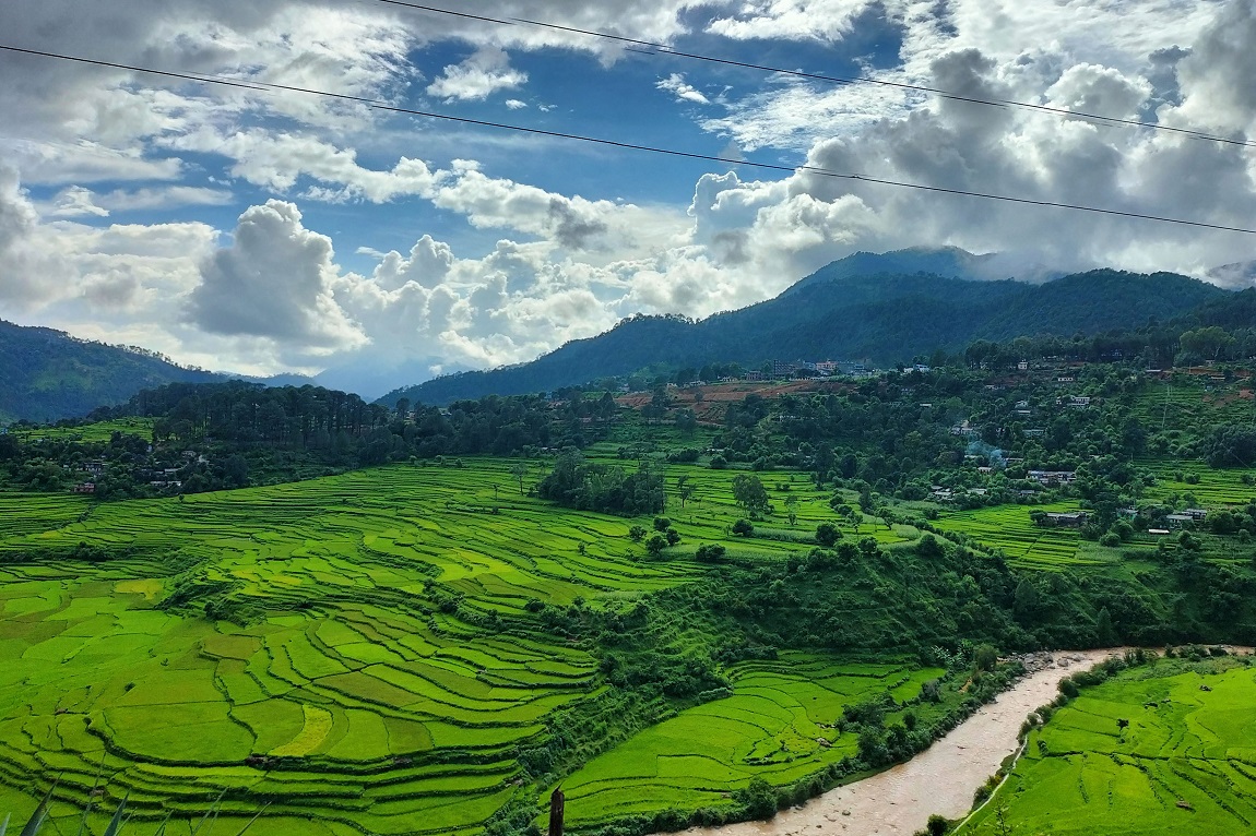 आजका तस्बिर- भदौ ७