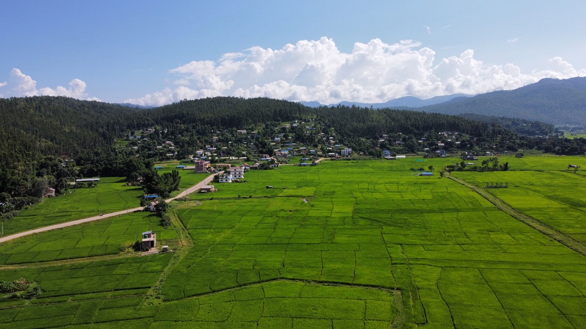 आजका तस्बिर- भदौ १०