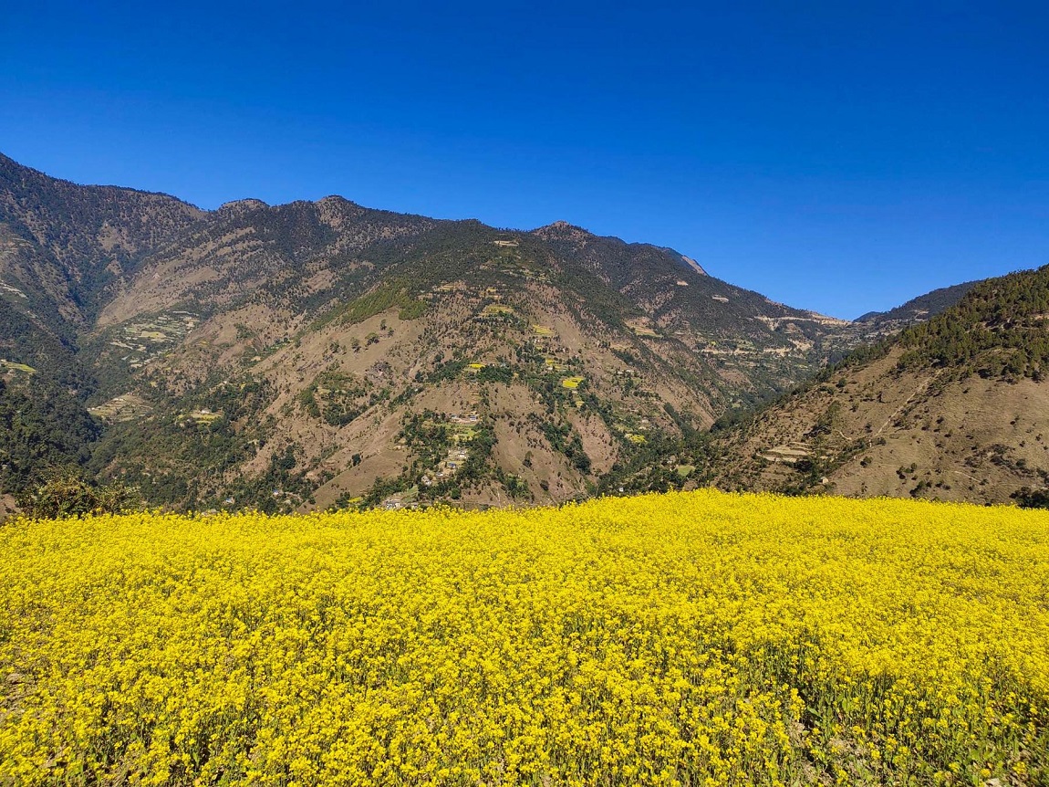 आजका तस्बिर मंसिर-१७