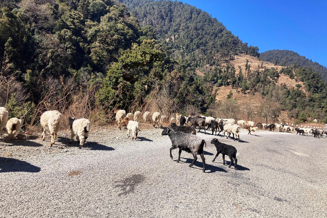 आजका तस्बिरहरू- माघ २६