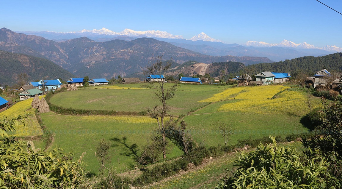 आजका तस्बिर- मंसिर २९