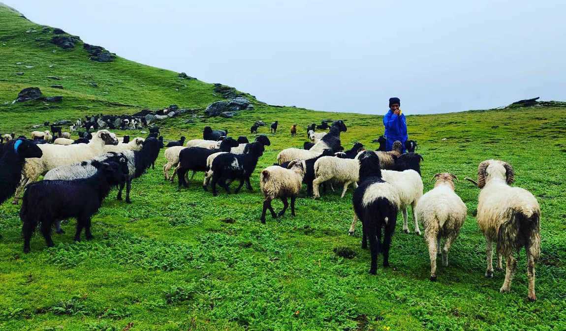 आजका तस्बिर- भदौ १६