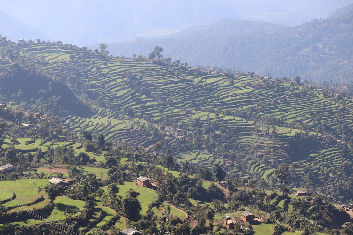 आजका तस्बिर- मंसिर २५