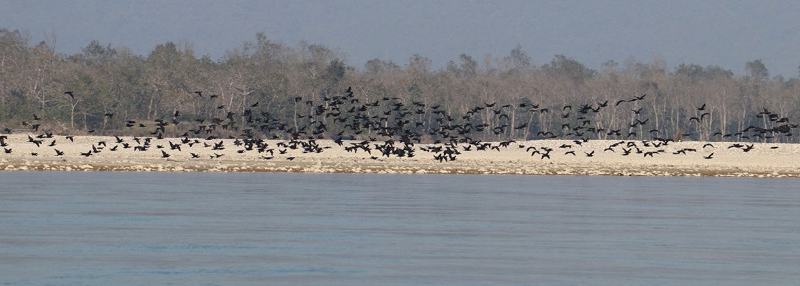 आजका तस्बिर- पुस २७