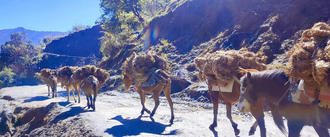 आजका तस्बिरहरू- चैत ११