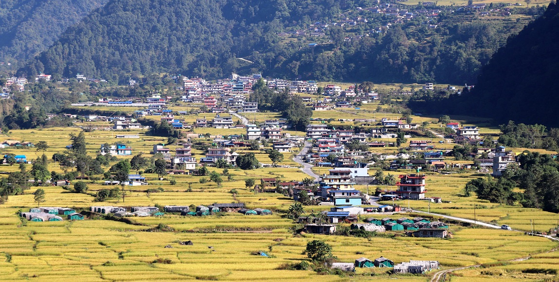 आजका तस्बिर- कात्तिक ८