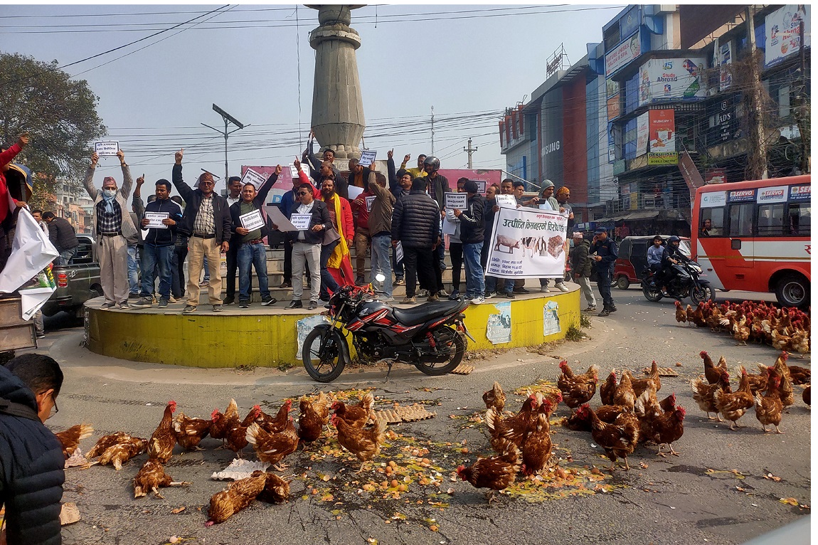 आजका तस्बिर- माघ २४