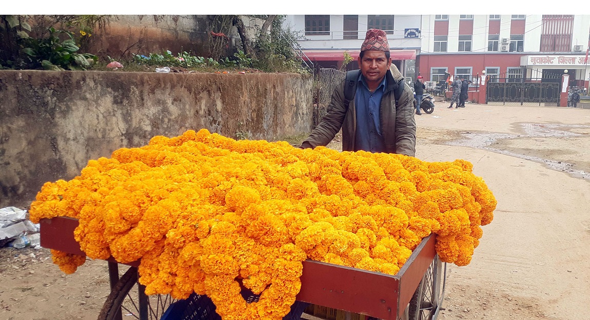 आजका तस्बिर- मंसिर १०