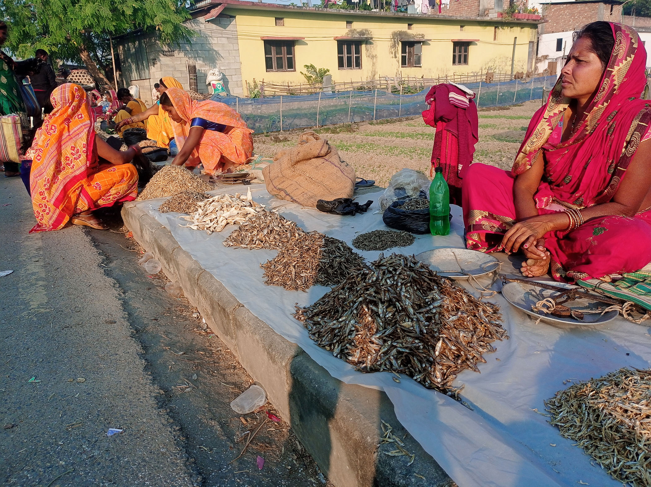 आजका तस्बिरहरू- मंसिर २३