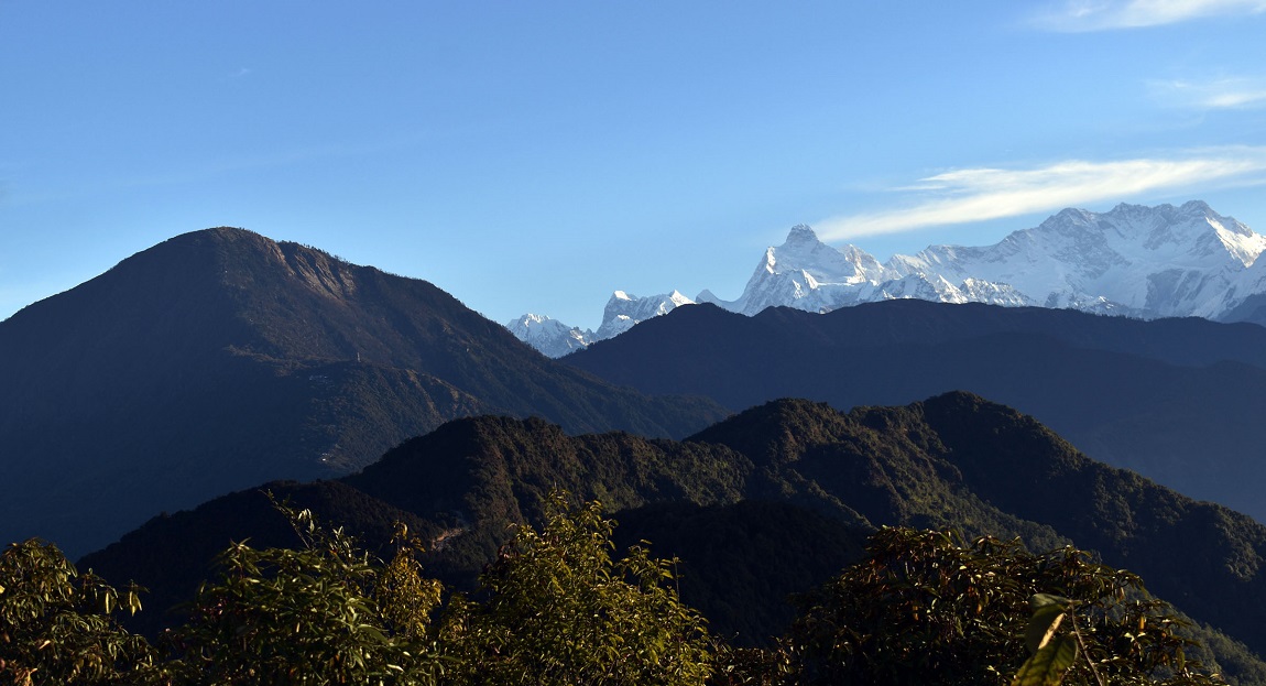 आजका तस्बिर- कात्तिक ८