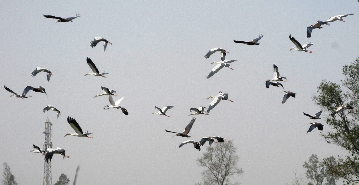 आजका तस्बिरहरू- फागुन १