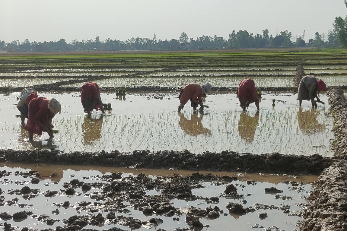 आजका तस्बिर: चैत २१