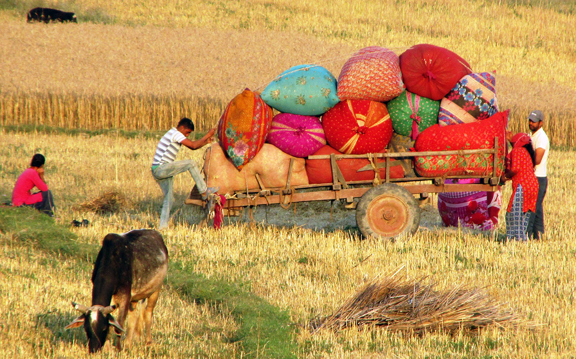 आजका तस्बिर- चैत २८