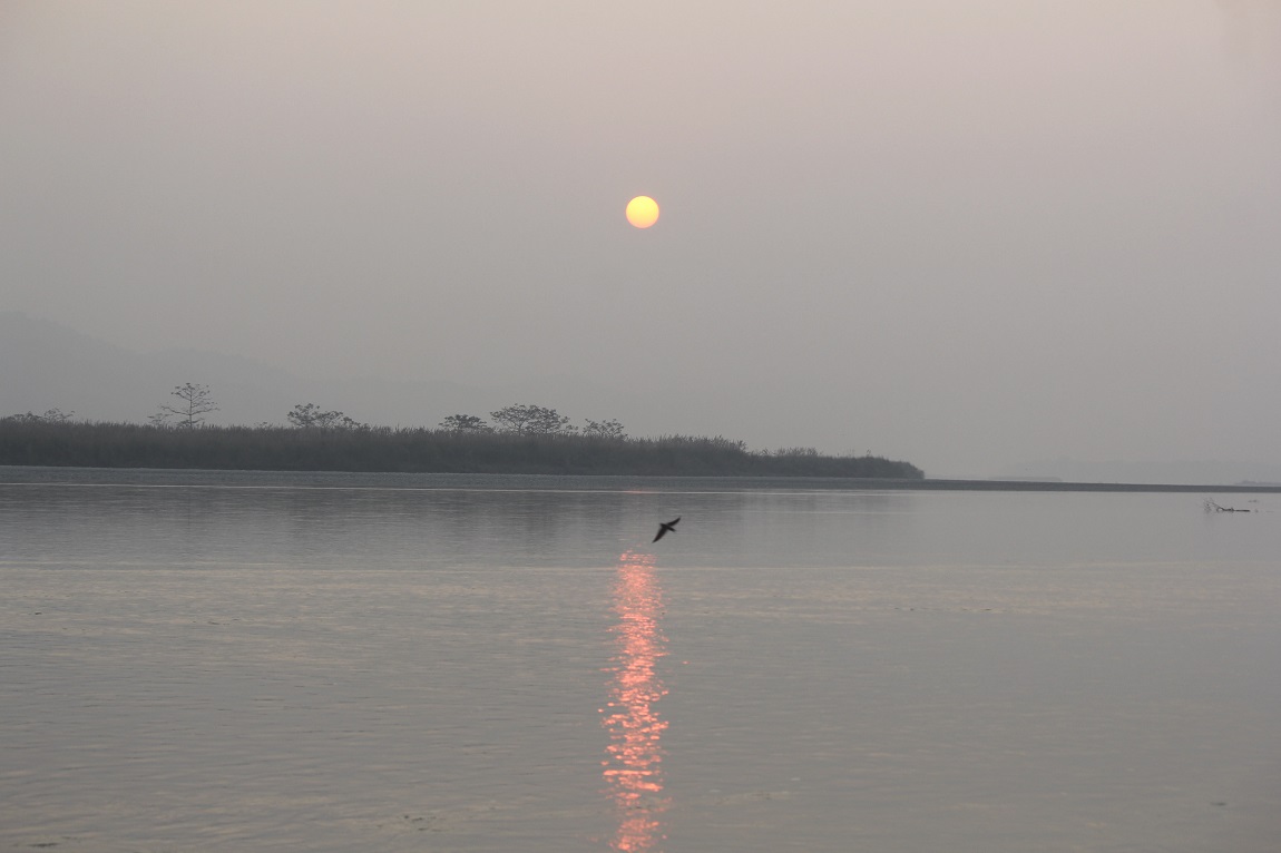 आजका तस्बिर- पुस १५