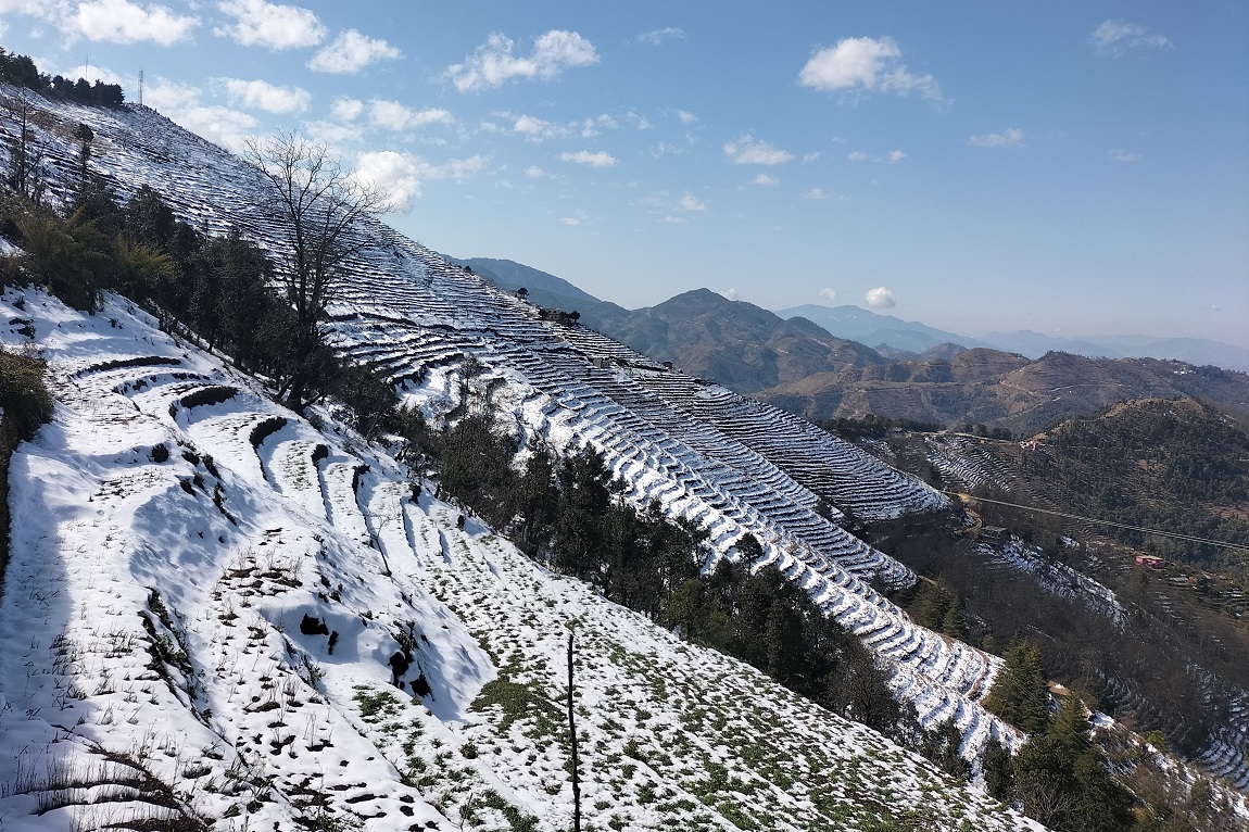 आजका तस्बिर- माघ २५