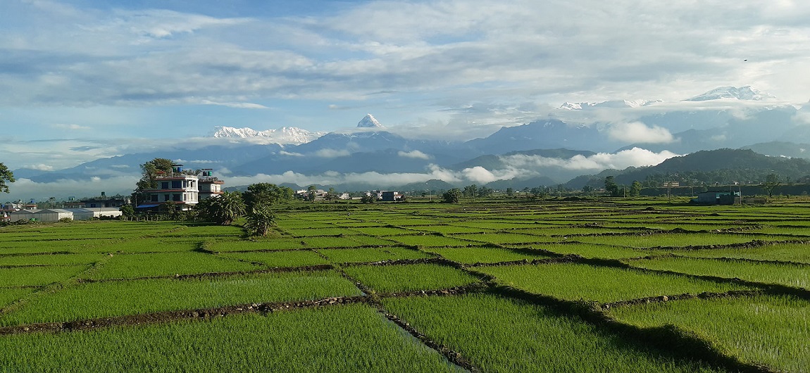 आजका तस्बिर-असार ३०