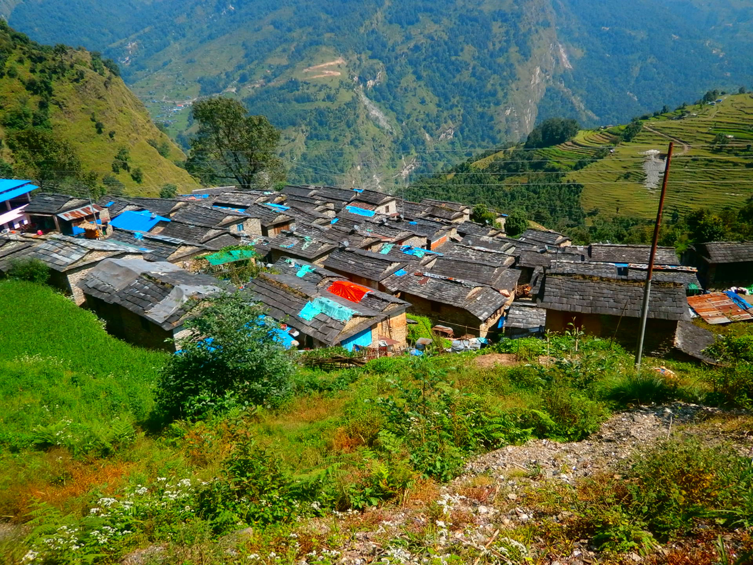 आजका तस्बिरहरू साउन ९