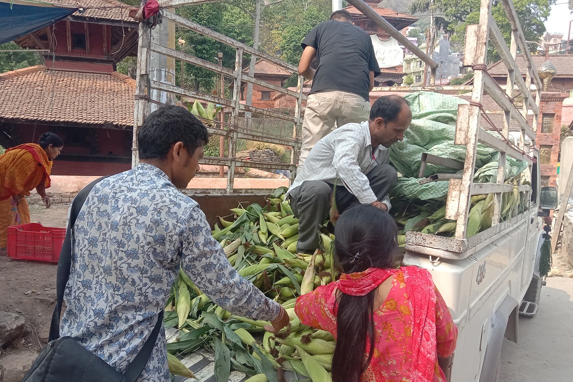 आजका तस्बिर- चैत २५