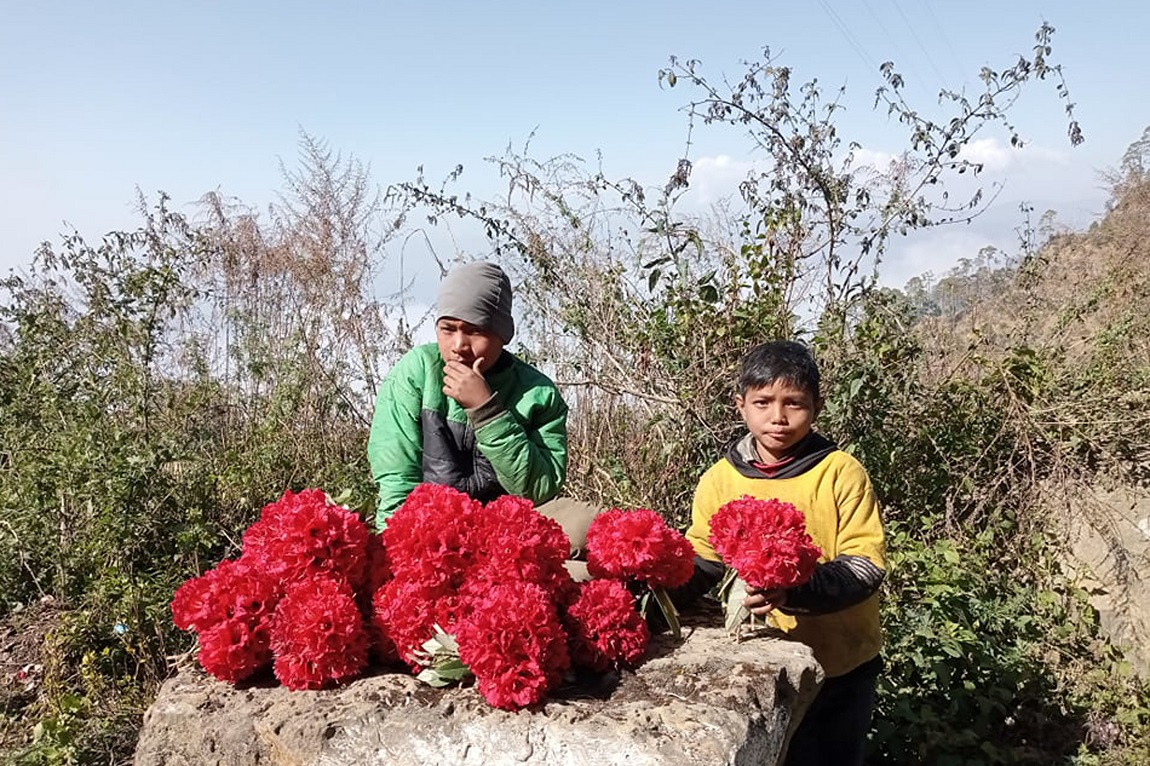 आजका तस्बिरहरू-फागुन २५