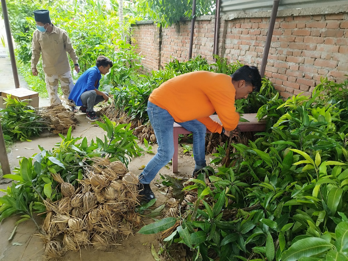 आजका तस्बिर-असार २५