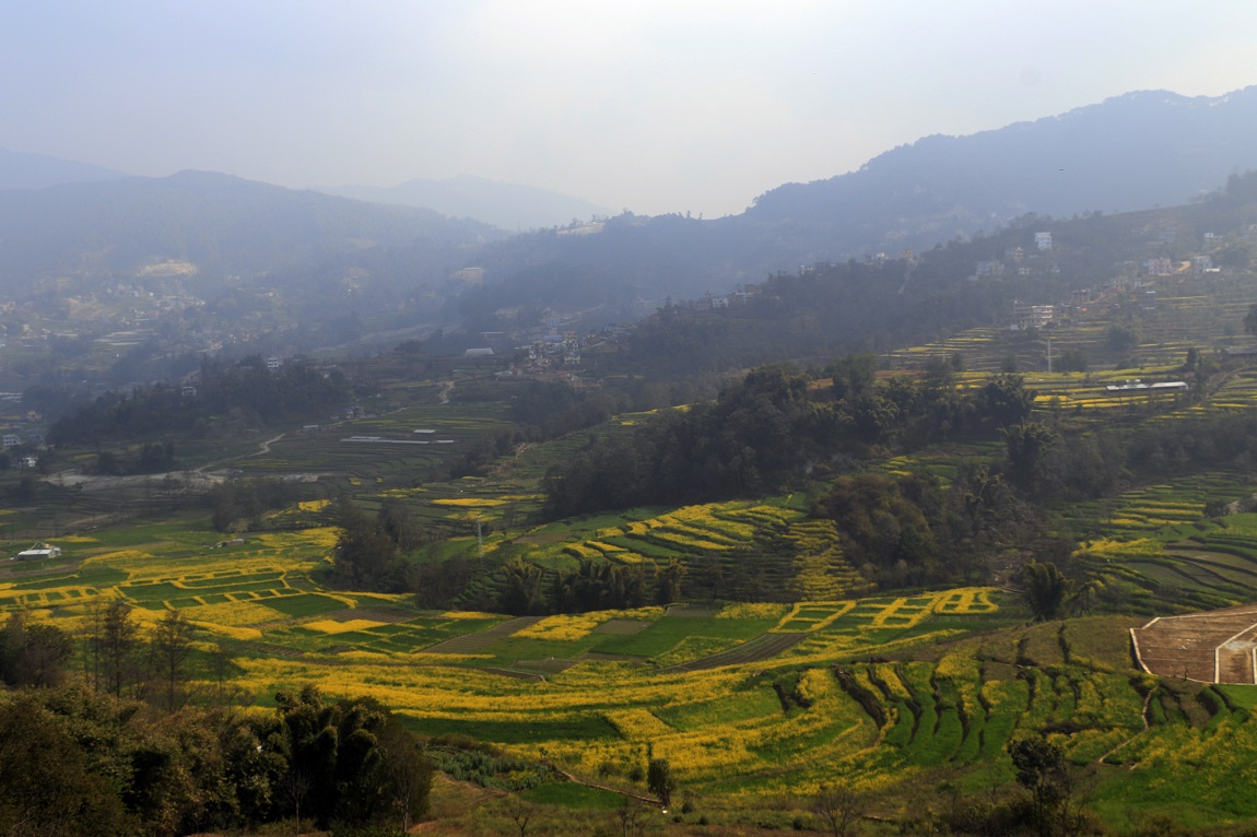 आजका तस्बिर- फागुन १४