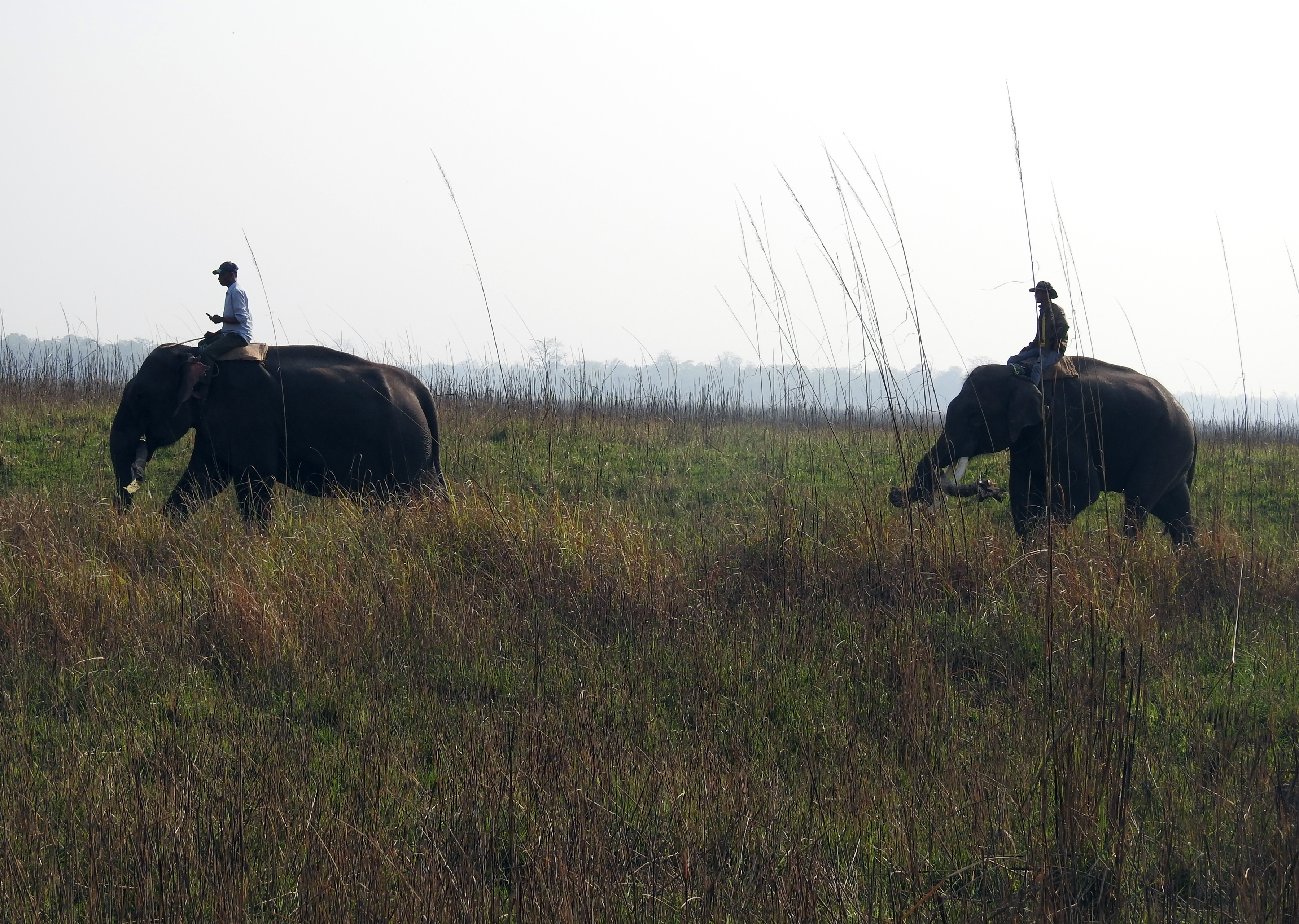 आजका तस्बिर-फागुन ३०