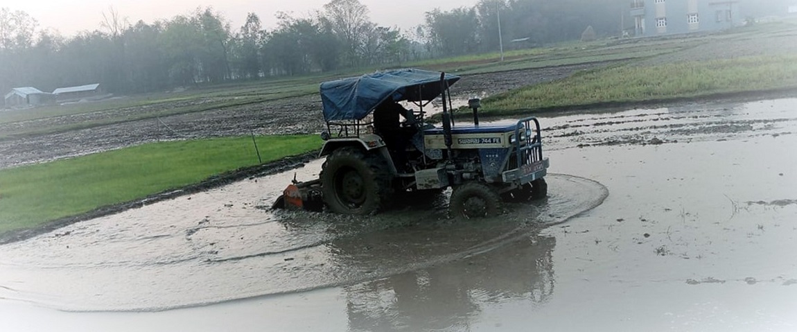 आजका तस्बिर- फागुन २८