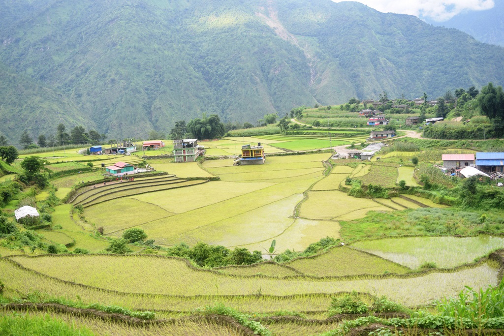 आजका तस्बिर-असार २२