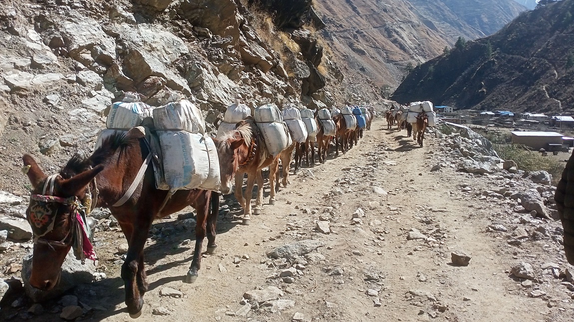 आजका तस्बिर- फागुन २१