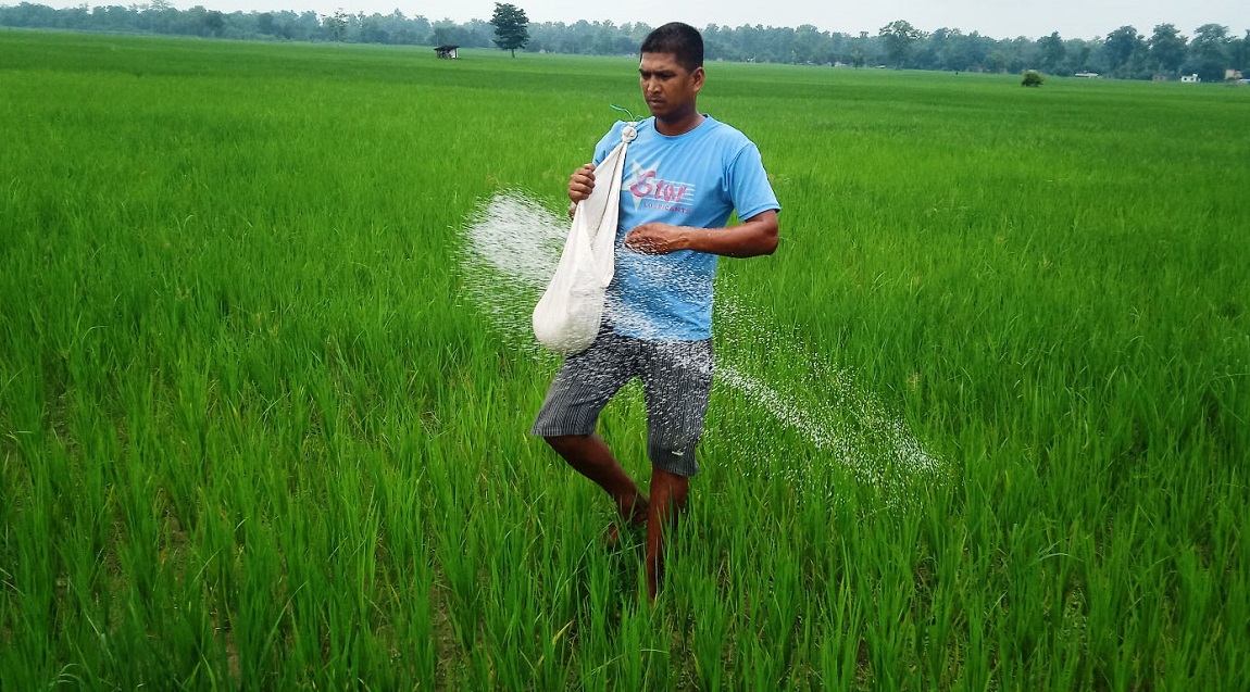 आजका तस्बिर- साउन १७