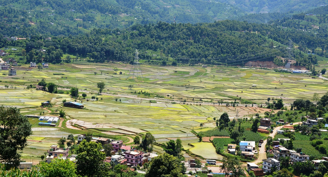 आजका तस्बिर- असार २९