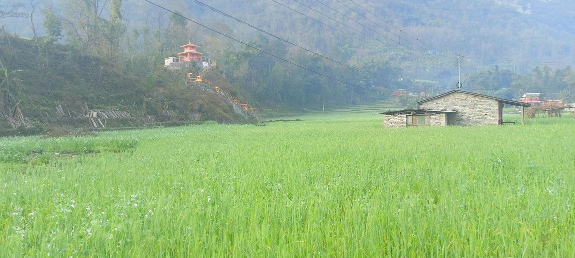 आजका तस्बिरहरू- फागुन १७