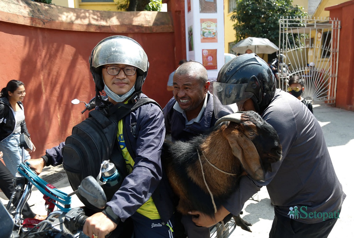 आजका तस्बिर- असोज १२